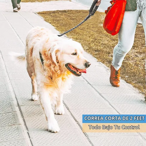 Vista 5 de BAAPET - Correa para perro de 2, 4, 5, 6 pies con mango acolchado cómodo y hilos altamente reflectantes para perros pequeños, medianos y grandes