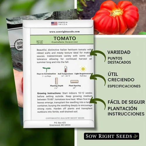 Vista 2 de Sow Right Seeds - Semilla de tomate genovesa Costoluto para plantar verduras Plante reliquia única indeterminada sin OMG en un huerto doméstico al