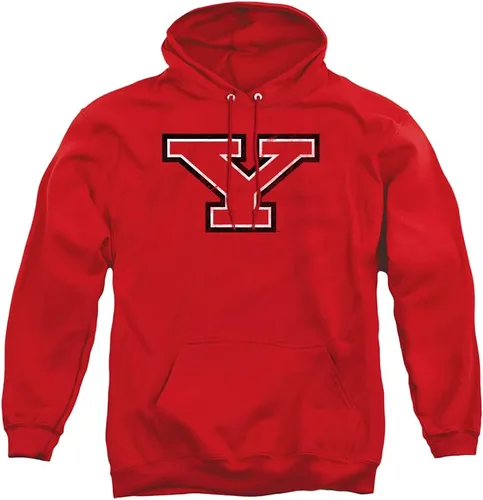 Vista 11 de Distressed College Primary Logo Adult Pullover Hoodie Collection 1 Universidad Estatal de Albany