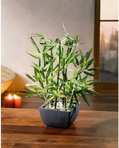 Vista 3 de Westcharm Bambú artificial en maceta de poliresina negra con piedras decorativas de río para el hogar, oficina, cocina, sala de estar, encimera