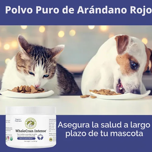 Vista 8 de Suplemento orgánico de arándano para perros y gatos, 60 cucharadas