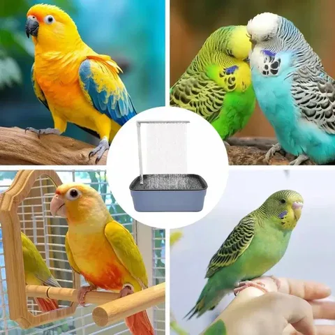 Bañera Automatica de Aves de Soldi