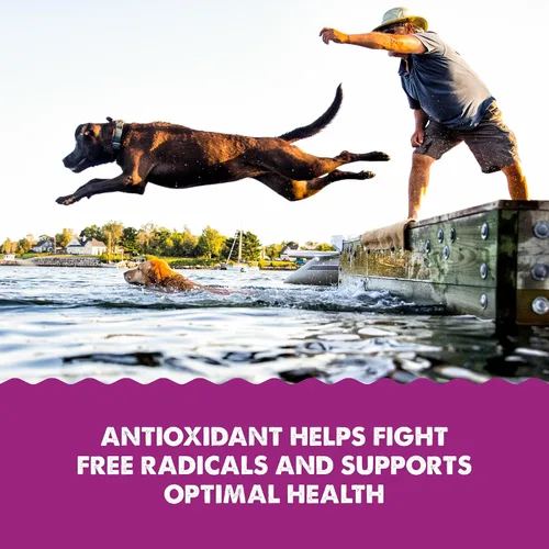 Vista 4 de Grizzly Wild - Suplemento antioxidante natural de aceite de krill antártico para perros, 8 onzas
