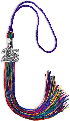 Vista 192 de Endea Graduation Borla de doble color con dije de plata brillante (negro/oro antiguo, 2025)