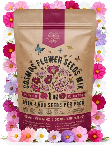 Vista 17 de Paquete de semillas de caléndula 1 oz - Más de 3,250 semillas de caléndula criollas sin OMG para plantar en jardinería interior y exterior, semillas