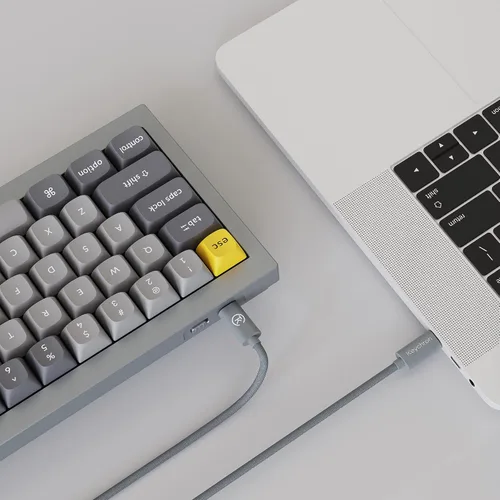 Vista 8 de Keychron Q2 - Versión de perilla de teclado mecánico con cable 65 de diseño QMKVIA macro programable con interruptor Gateron G Pro marrón