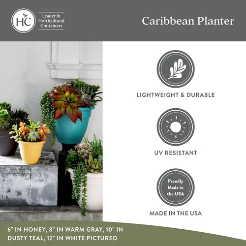 Vista 3 de The HC Companies, Caribbean - Maceta de plástico y ligera de 6 pulgadas para interiores y exteriores, maceta para hierbas y flores, color negro