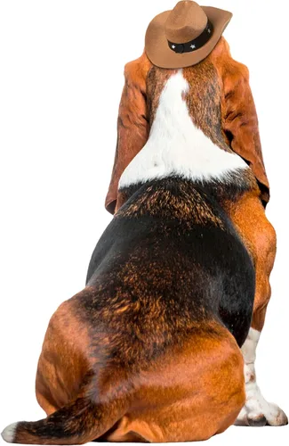 Vista 4 de Disfraz de sombrero vaquero Rubies para mascotas, M / L, Marrón