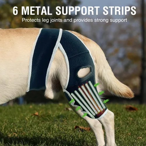 Vista 3 de Rodillera para perros pequeños, estabilidad de rodilla y soporte activo, talla S Provides comfortable knee support for dogs with joint weakness