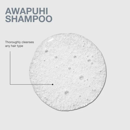 Vista 6 de Paul Mitchell Awapuhi Shampoo, Balances Moisture + Adds Shine, For All Hair Types, Especially Fine + Static-Prone Hair