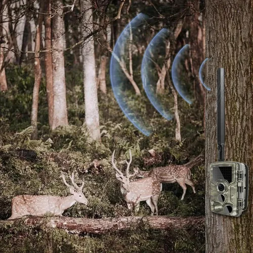 Vista 4 de Cellular Trail - Antena macho de repuesto para cámara SMA compatible con Spypoint LM2 Flex Flex-S Flex-M Flex-M Flex-Dark Flex G-36 Moultrie Edge
