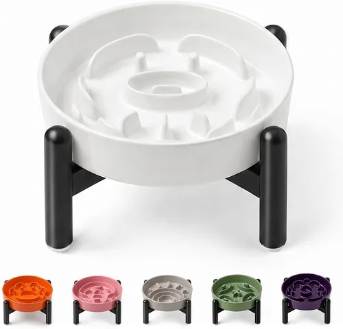 Vista 24 de Cuenco elevado para perros de alimentación lenta, 0.8 tazas de cerámica elevado con soporte inoxidable, cuenco elevado para perros de 6.3 pulgadas
