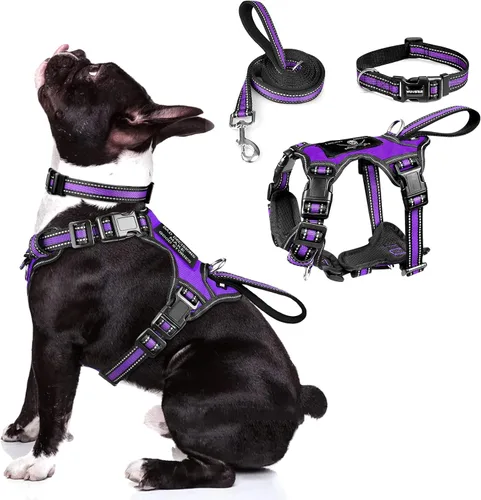 Vista 15 de Juego de arnés reflectante todo en uno para perro, collar y correa, sin tirones con hebillas ajustables, talla XL, azul oscuro