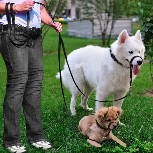 Vista 3 de BARKELSS - Collar para cabeza de perro, ajustable acolchado para dejar de tirar, control suave en los paseos, incluye 1 correa y guía