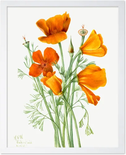 Vista 68 de Poster Master Póster vintage Overbeck – Impresión de acuarela retro – Regalo para artistas, amigos, girasoles, hermoso, botánico, planta