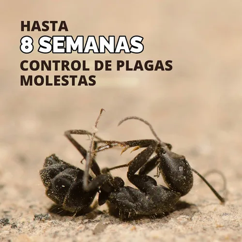 Vista 7 de Spectracide Terminate - Concentrado para matar termitas y hormigas carpinteras, mata termitas, hormigas y hormigas carpinteras, 946 mL