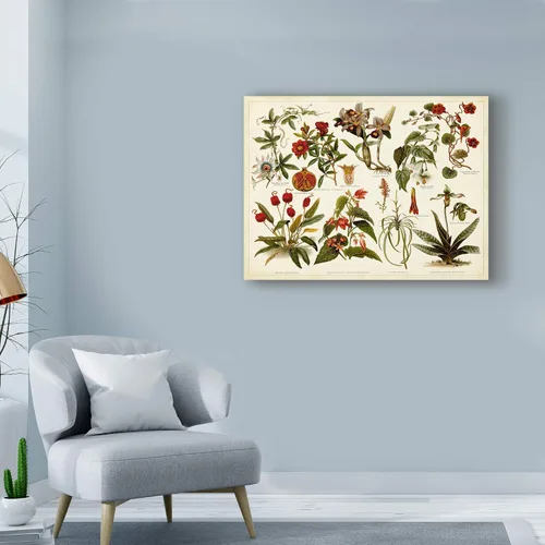 Vista 3 de Trademark Fine Art, Tabla de botánica tropical Ii de 14x19 pulgadas por Meyers
