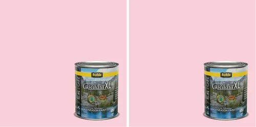 Vista 207 de Rodda Paint CASCADIA ZERO - Pintura satinada e imprimación para interiores en uno, 1 galón, Lady Flower Flor de señora