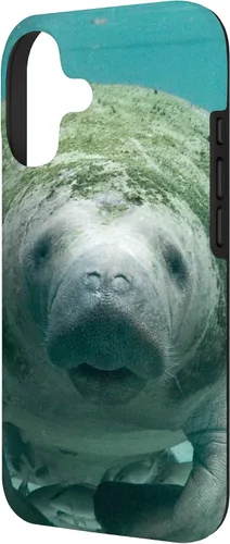 Vista 2 de Manatee Case for iPhone 17