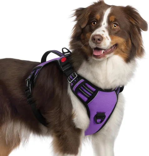 Vista 30 de rabbitgoo Arnés para perro de tamaño pequeño, arnés para mascotas sin tirones con mango acolchado suave, chaleco reflectante ajustable con 3