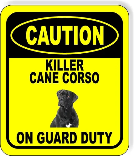 Vista 114 de BEWARE BASSETT HOUND GUARD DOG - Letrero compuesto de aluminio para exteriores, 8.5 x 10 pulgadas CUIDADO BASSETT HOUND GUARD PERRO