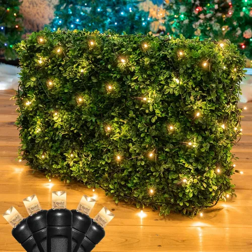 Vista 23 de Novelty Lights Luces de red de 2 x 10, 100 LED de color blanco cálido con espacio de 4 pulgadas, bombillas de gran angular de 0.197 in en cable