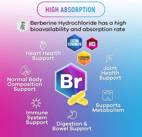 Vista 5 de Berberine HCL Blend 1200mg por porción – Alta absorción, suplemento de berberina extra fuerte – Salud avanzada del corazón y apoyo inmunológico