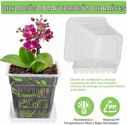 Vista 3 de Macetas de orquídeas con agujeros, paquete de 6 macetas cuadradas