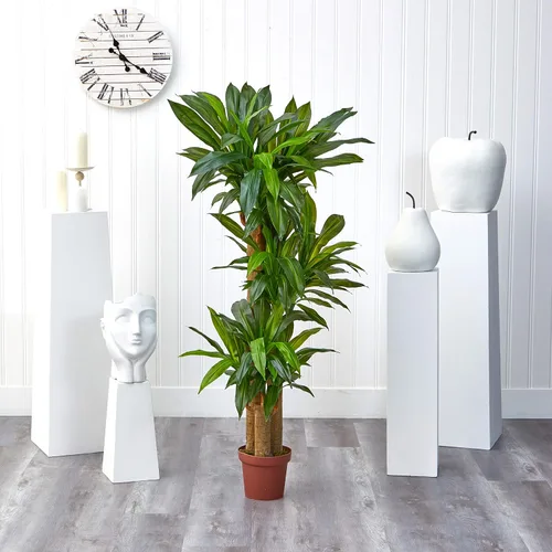 Vista 5 de Nearly Natural 6584 planta artificial decorativa de seda de dracaena fragrans, color verde