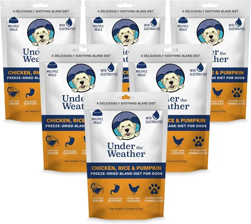 Vista 9 de Under the Weather Bland Diet para perros Fácil de digerir para perros enfermos Siempre esté listo Contiene electrolitos – Carnes naturales