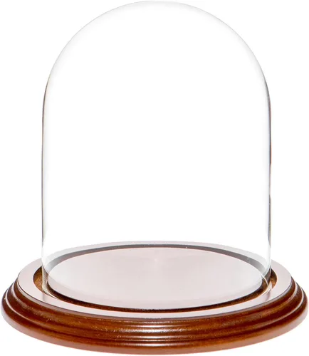 Vista 6 de Plymor Cúpula de cristal de 4.5 x 6 pulgadas (base de madera MDF negra)
