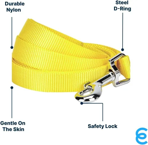 Vista 94 de Blueberry Pet - Correa Essentials clásica para perro con más de 20 colores, duradera, doble asa y de cuerda