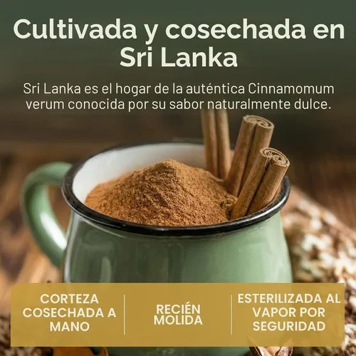 Vista 8 de Canela en polvo orgánica de Ceilán Certificado USDA Orgánico y Kosher Canela de Ceilán en polvo orgánica de Sri Lanka Canela orgánica Ceilán
