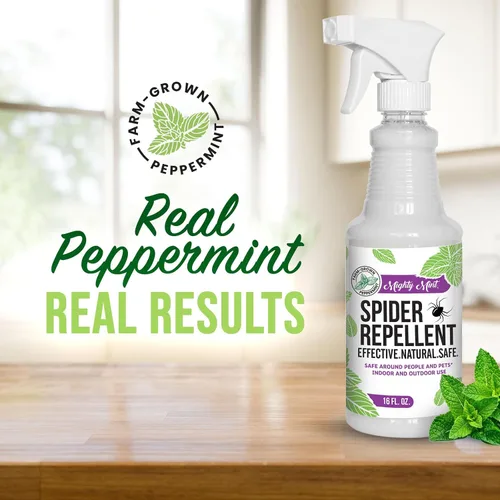 Vista 2 de Spray repelente de arañas con aceite de menta de Mighty Mint – Control natural de insectos para interiores y exteriores para arañas e insectos
