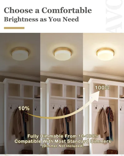 Vista 7 de Lámpara de techo de montaje empotrado dorada, 13 pulgadas, accesorios de iluminación de techo para dormitorio, pasillo, cocina