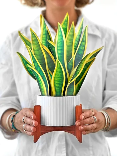 Vista 9 de Freshcut Paper Tarjetas de felicitación desplegables, Jardín de Cactus, plantas de casa de papel tamaño real de 12 pulgadas en 3D, tarjeta