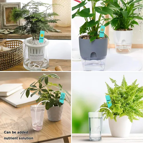 Vista 7 de Augshy Cuerda de algodón con mecha de riego automático de 1/6 pulgadas para dispositivo de riego automático de plantas de bricolaje (40 pies)