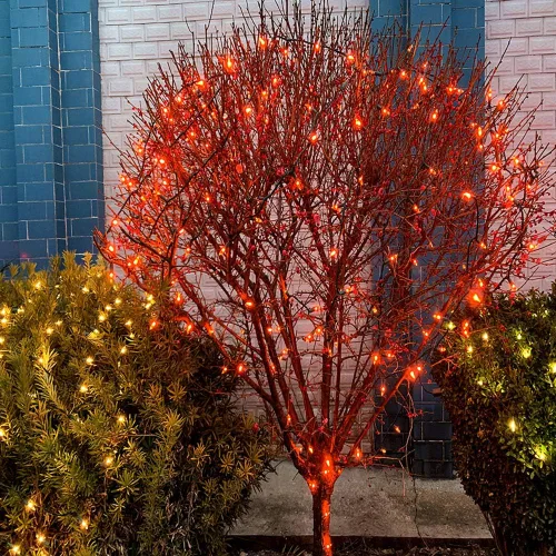 Vista 2 de 150 luces naranjas de Navidad, tira de luces LED que permanecen siempre encendidas con cable verde de 50 pies, certificación UL, calidad comercial