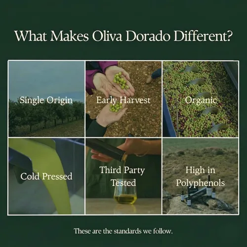 Vista 3 de Oliva Dorado Aceite de oliva virgen extra orgánico, 100% sin refinar y prensado en frío, hecho de aceitunas arbequinas ricas en polifenoles, origen
