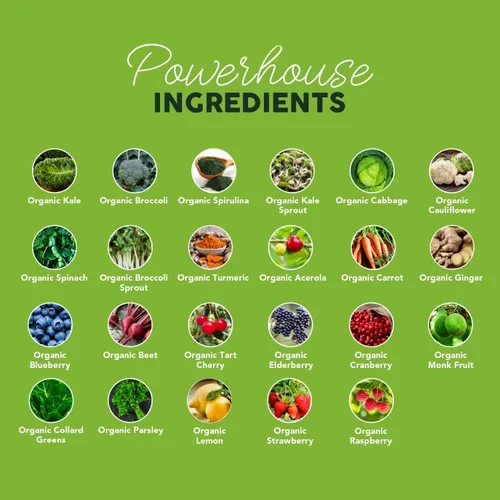 Vista 7 de Paleovalley Organic Supergreens - Superalimento orgánico en polvo de verduras para apoyo inmunológico - Mezcla de polvo verde paleo - 30 porciones
