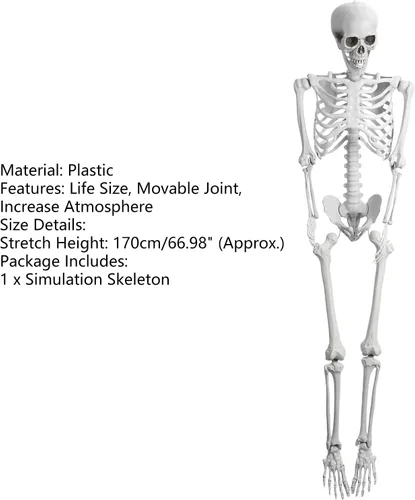 Vista 6 de Modelo de esqueleto humano de 5.4 pies/65.0 in, modelo de esqueleto posable de 64.9 pulgadas de alto, decoraciones de esqueleto de plástico
