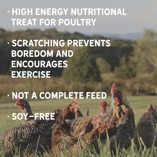 Vista 4 de New Country Organics Alimento para pollo Alimento para arañazos para aves de corral adultas Sin soja 9% de proteína Certificado orgánico