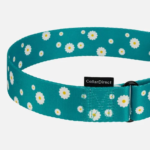 Vista 4 de CollarDirect Martingale - Collar de nailon resistente para perros pequeños, medianos y grandes [nailon, estampado, aguamarina, L, 15-20 pulgadas)