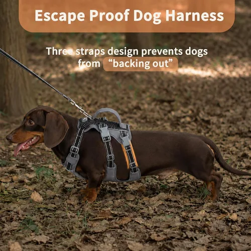 Vista 2 de Arnés reflectante para perros Huntboo con mango, a prueba de escapes, antideslizante, transpirable, ligero, arnés ajustable para perros pequeños