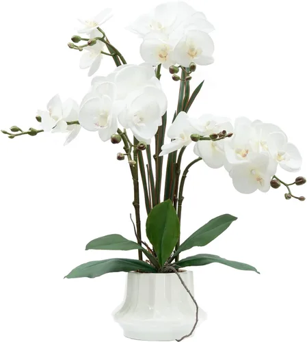 Vista 22 de CXGS Planta de orquídeas artificiales de 20.9 pulgadas, orquídeas artificiales de tacto real en jarrón de cerámica, arreglo floral de Phalaenopsis