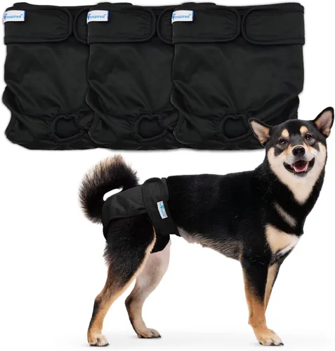Vista 7 de Paw Inspired Pañales lavables para perros (paquete de 3) Pañales de tela reutilizables para perras pequeñas, medianas y grandes