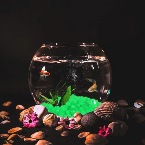 Vista 5 de 600 piedras decorativas que brillan en la oscuridad, piedras luminosas de jardín que brillan con luz y energía solar para decoración al aire libre