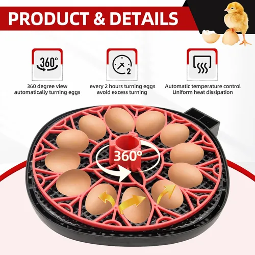 Vista 3 de Incubadora de 12 huevos con pantalla de humedad, incubadora de huevos con giro automático de huevos y recarga automática de botella de agua