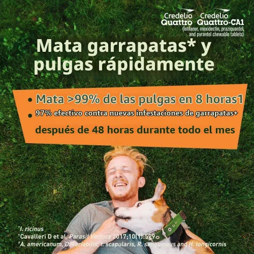 Vista 7 de Credelio Quattro / Credelio Quattro-CA1 para perros 25.1-50 libras, 1
