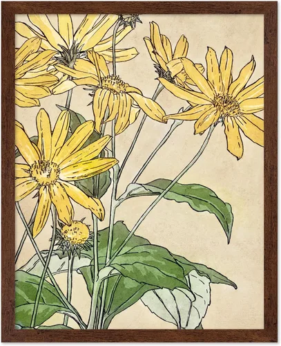 Vista 56 de Poster Master Póster vintage Overbeck – Impresión de acuarela retro – Regalo para artistas, amigos, girasoles, hermoso, botánico, planta